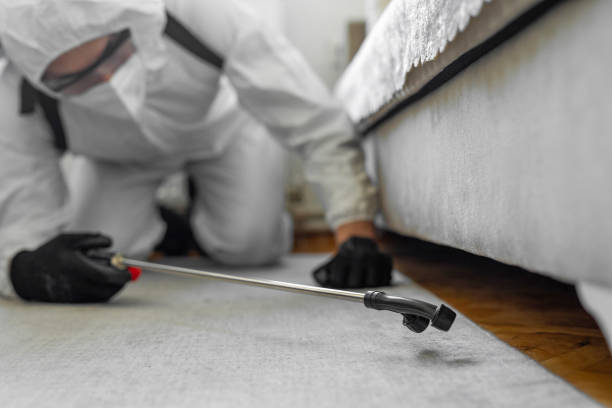 Professional Termite Control technician working in Channahon, IL