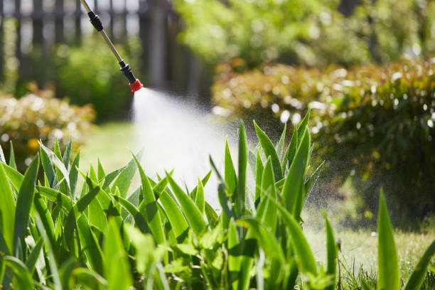 24/7 Emergency Termite Control experts in Channahon, IL