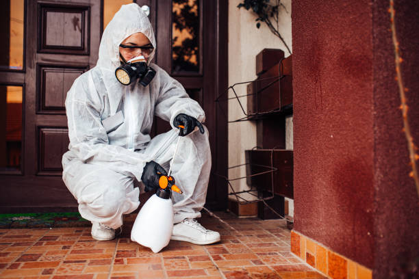 Reliable Termite Control contractor in Channahon, IL by Nex Pest Control