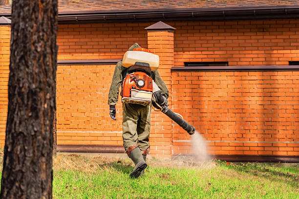 Top rated local Termite Control specialists in Channahon, IL